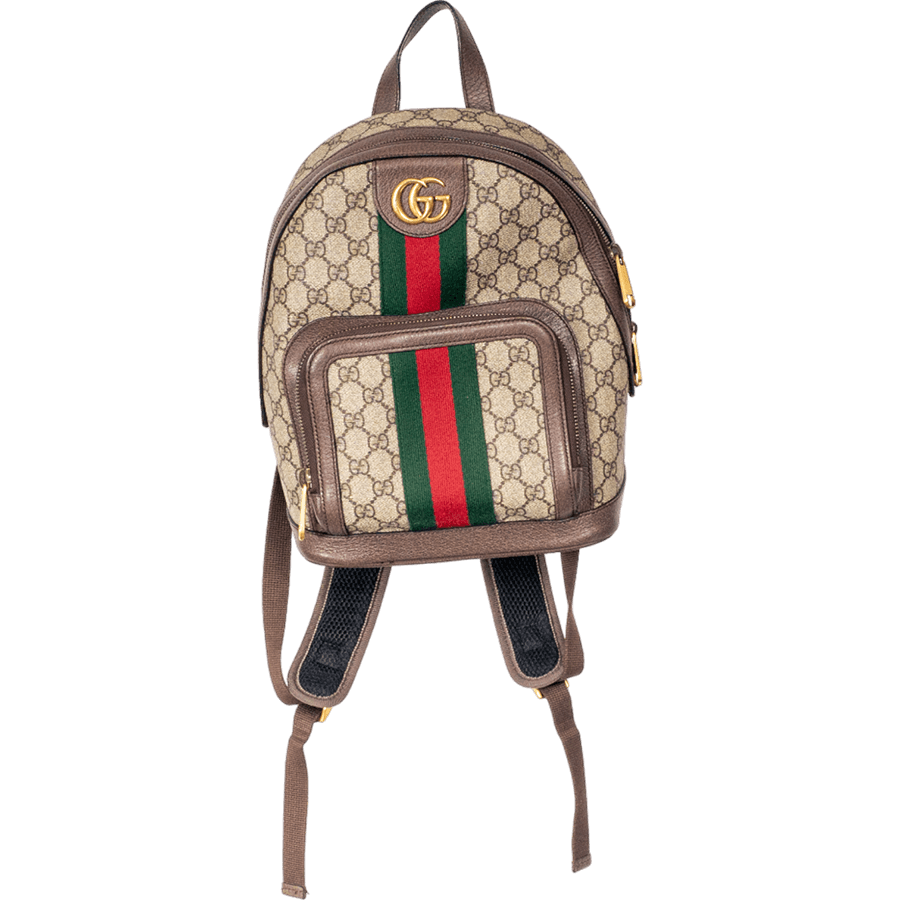 Gucci Ophidia GG Backpack Small at ShopBraswell