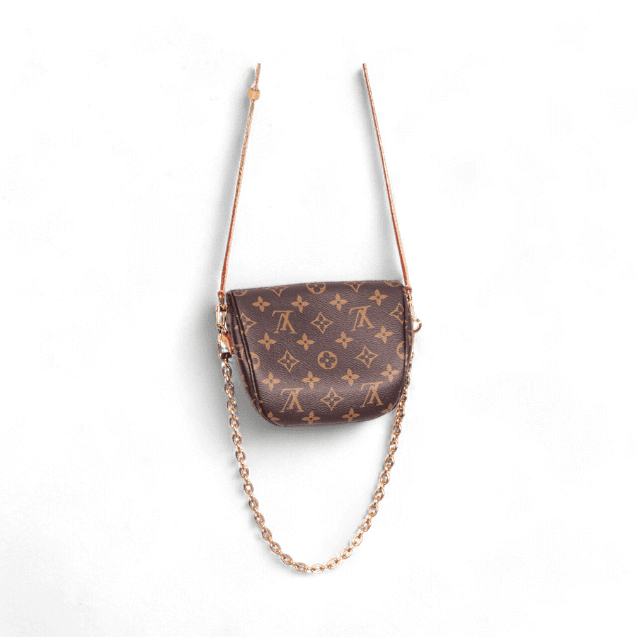 LOUIS VUITTON Louis Vuitton Bumbag Mini Monogram