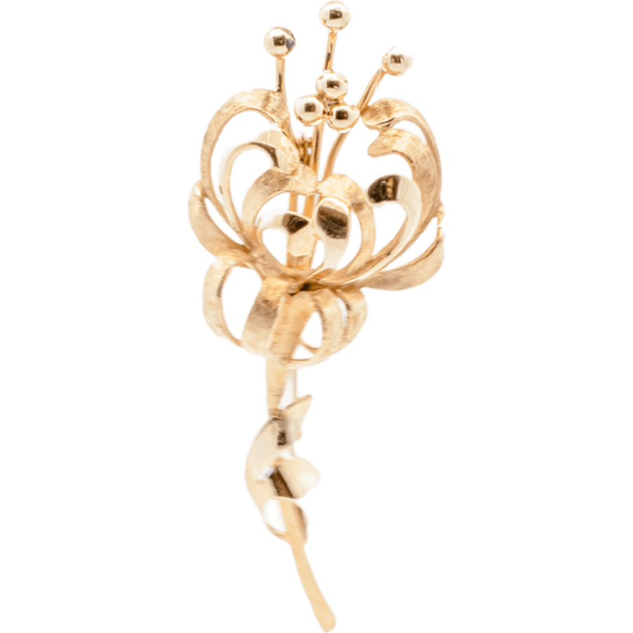 Picture of  Brooch 18k Yellow Gold