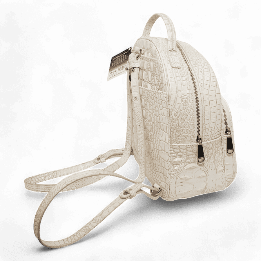 Picture of  Brahmin Dartmouth Backpack