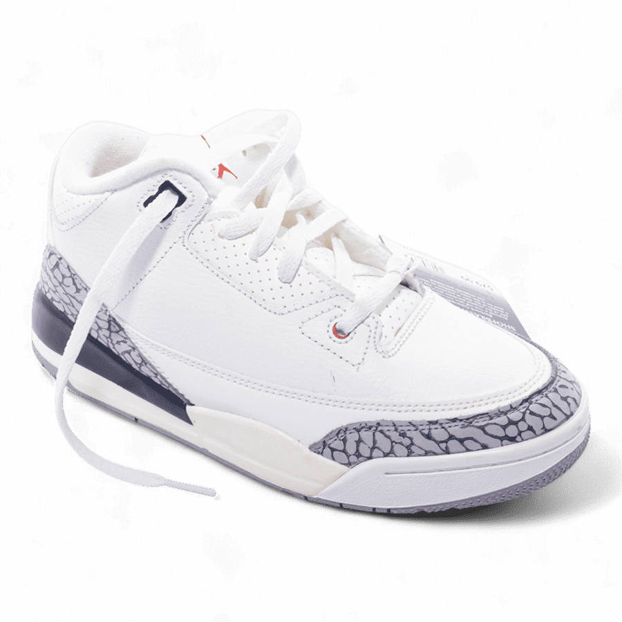  Nike Air Jordan 3 Retro Shoes