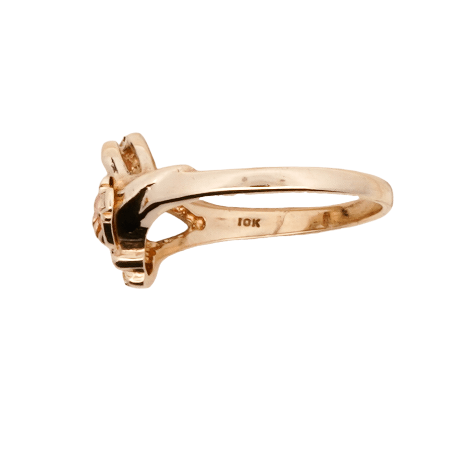 Picture of  Ring 10k Yellow Gold