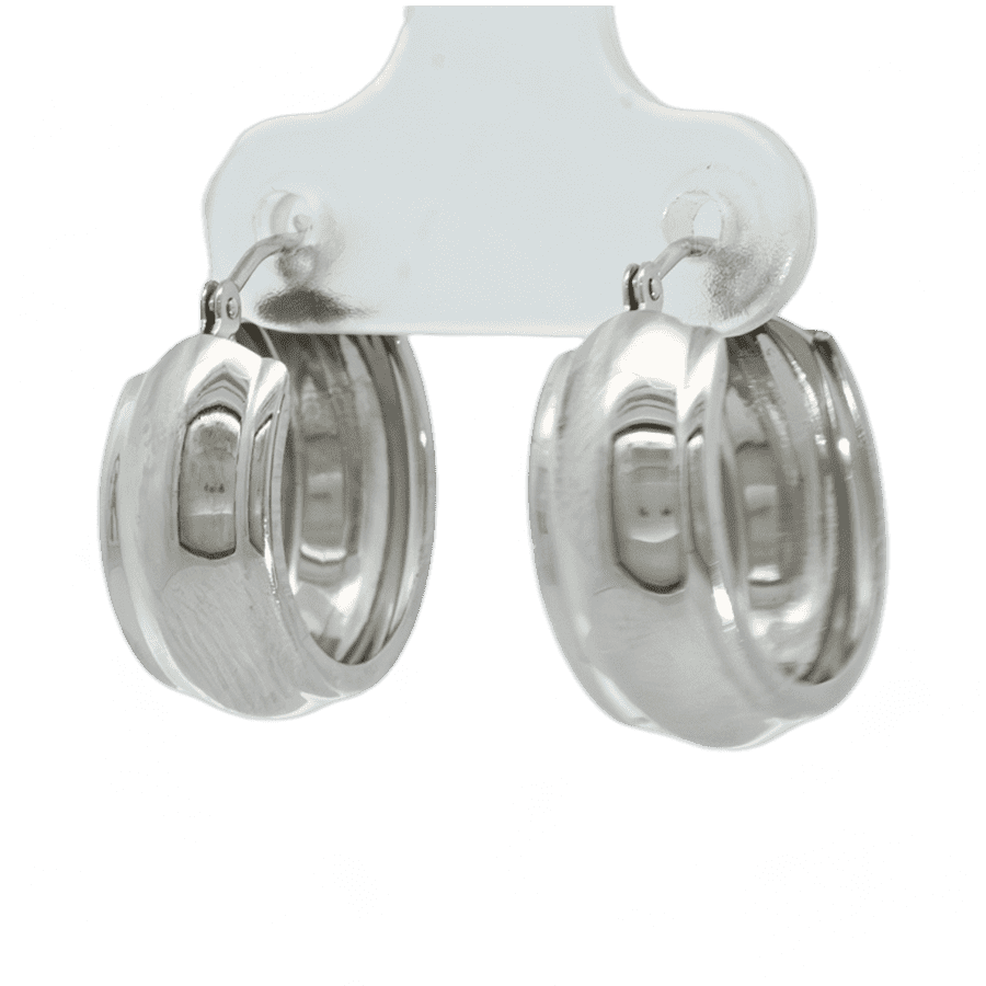 Picture of  Earrings 10k White Gold