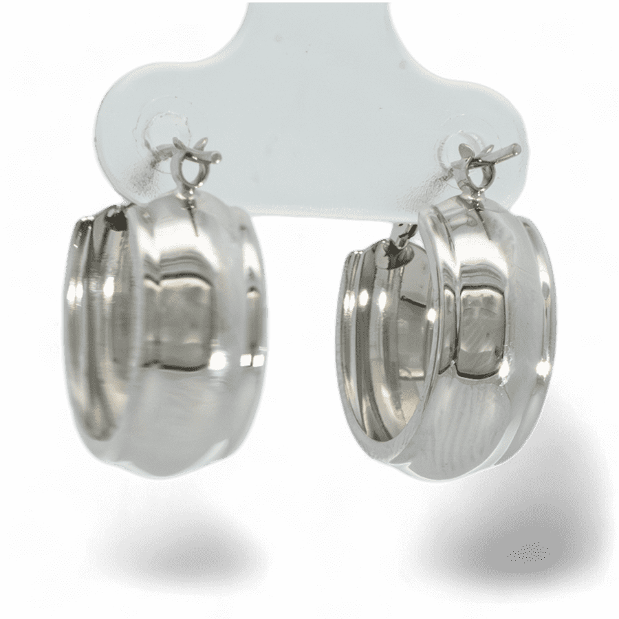 Picture of  Earrings 10k White Gold