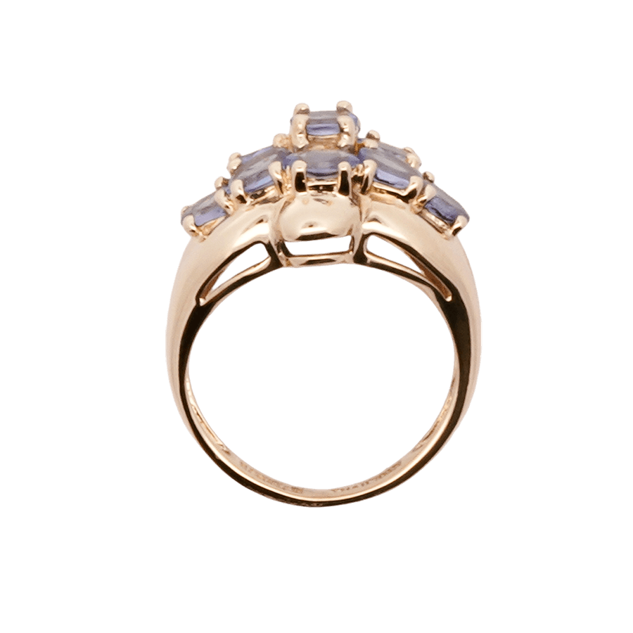 Picture of  Ring 10k Yellow Gold